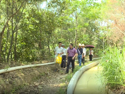 我为群众办实事丨横陂镇：一条水渠解民忧 撂荒复耕现生机