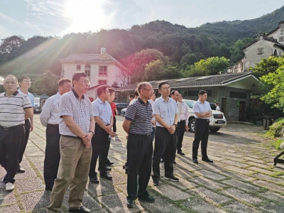 郑伟仪、顾幸伟来梅调研农村厕所革命和乡村振兴工作：发展美丽经济 建设美丽乡村