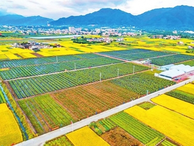 中央财政强农惠农富农政策清单发布，9项补贴快来领取！