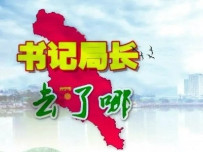 兴宁各镇党委书记、各局局长上周在忙什么？