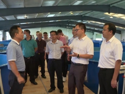 平远考察团赴广州南沙学习考察：深化南平协作 共谋发展共赢