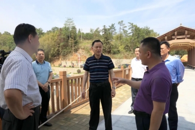 洪国华：大力推进乡村振兴 绘就石马版“富春山居图”！