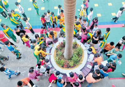 照片墙丨花坛上的优秀作业展