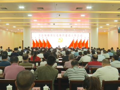 蕉岭加强基层党组织建设工作会议召开：深入实施新一轮三年行动计划 以高质量党建引领高质量发展