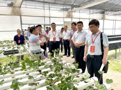 市政协委员专题视察梅州创建现代职业教育综合改革示范市情况：多措并举推动职业教育再上新台阶