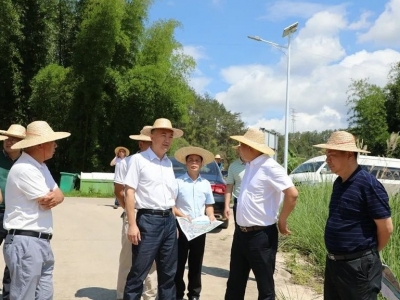 熊锋松带队督导垦造水田工作