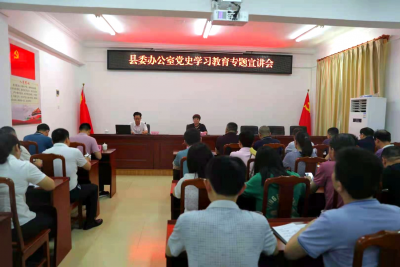 学习动态丨丰顺县委办开展党史学习教育专题宣讲会
