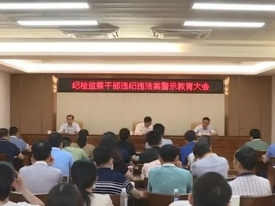 学习动态丨丰顺县纪委监委开展党史学习教育专题宣讲暨警示教育会