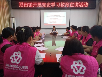 学习动态丨丰顺县潘田镇妇联开展党史学习教育专题学习会