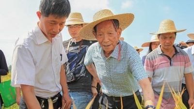 袁隆平三次来梅州，指导双季稻种植产量破世界纪录！