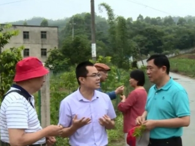 忆青春！丰顺埔寨农场知青“返乡”再聚首，喜看“家乡”新变化