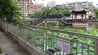 美丽家园，共建共享！梅江区金山街道以“微改造”走出“蝶变”之路