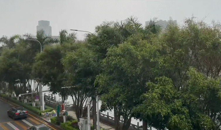 闪电＋打雷＋大风＋雨！刚刚，梅州的天气是这样任性哦！