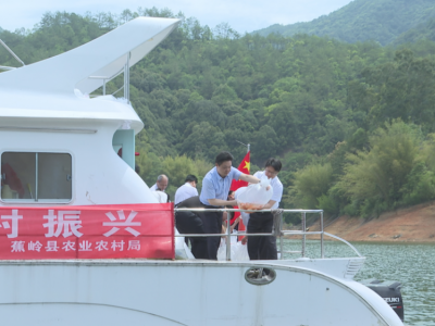 蕉岭：开展增殖放流 保护生态资源