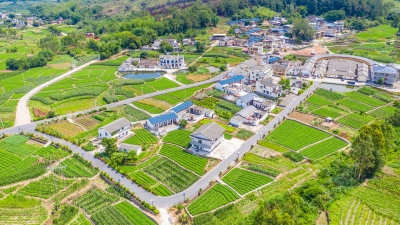 初遇白湖，唯有“惊艳”！巾帼撑起“半边天”，扮靓蕉岭这块“打卡地”