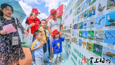 一起守护这些“可爱名片”！这场主题宣传活动你“涨知识”了吗?