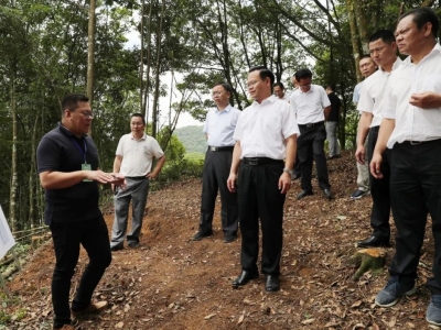 曾永祥率队调研马图特色产业发展：努力打造产业融合发展新标杆