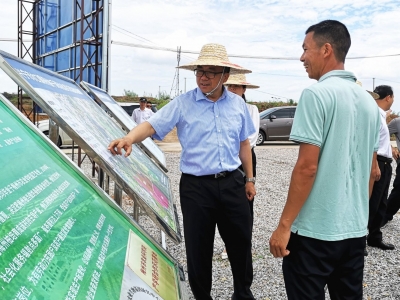 温向芳到兴宁调研梅州柚扩种工作：全力以赴完成种植任务