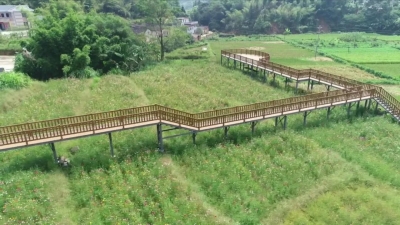 漫步田园古道、体验采摘乐趣…这个“五一”，你来平远打卡了吗？