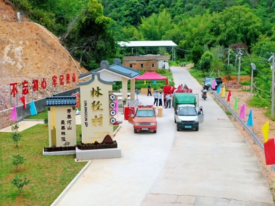 干群总动员！梅县区南口镇林径村村标、念乡亭今日落成