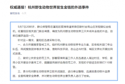杭州野生动物世界3只金钱豹外逃，已抓回1只