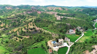 “好项目”带来好日子！平远：万企兴万村 走稳振兴路