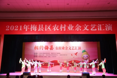 展现农村新风貌！梅县区这场文艺汇演精彩纷呈