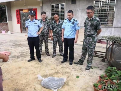 吃鸡！20斤重蟒蛇钻进鸡棚，被发现时肚子还鼓着…