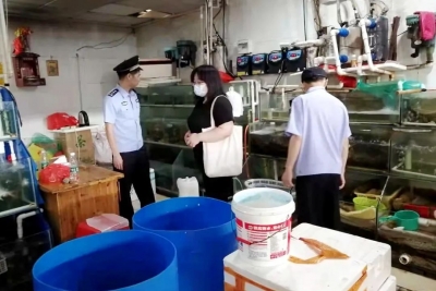 严查非法经营、贩售野生动物！梅县区警方开展野生动物专项检查行动 