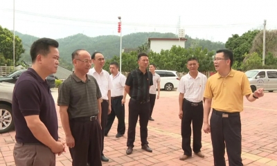 省乡村振兴局领导到大埔县调研乡村振兴工作