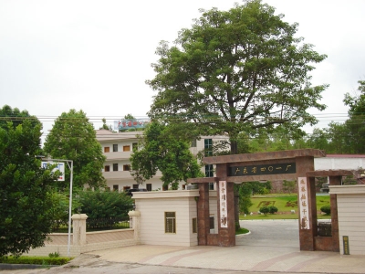 梅县区梅西镇：以产业振兴促发展，全面推进乡村振兴