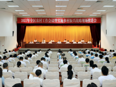 梅江区召开2021年农村工作会议暨实施乡村振兴战略现场推进会