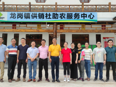 学习动态丨丰顺供销合作联社：开展党史学习教育“深调研”活动 