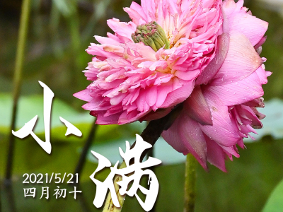 小满至，丰收望！市农林科学院：小满过后天气湿热，需抓好农事管理    