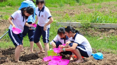 多点开花、热闹有序、市场兴旺！诗画梅江欢乐庆五一