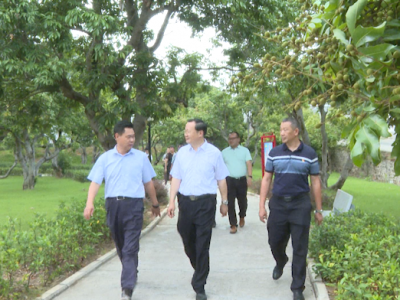 陈亮率队到兴宁合水镇罗陂村调研
