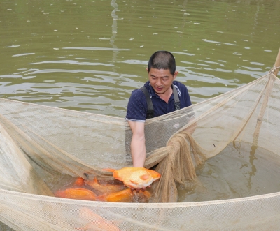 虾兵蟹将鱼满塘，平远大力发展特色水产养殖产业，打造农业新名片！