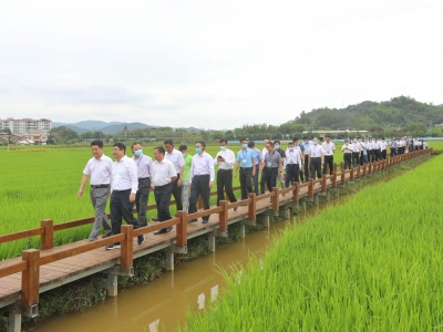 今天，全省乡村振兴“万企兴万村”现场推进会在梅州召开