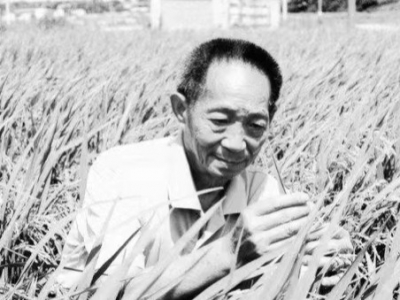 默哀！5月22日13时07分，袁隆平院士逝世