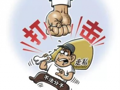 守护市民“舌尖上的安全”！梅州打私部门查获2000多公斤涉私冻品