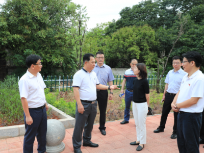 梅江区委书记朱国城调研乡村振兴与民宿发展工作