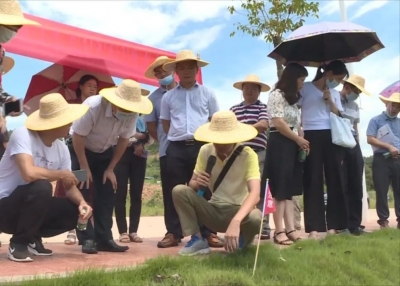 丰顺县部署推进红火蚁联合防控工作  