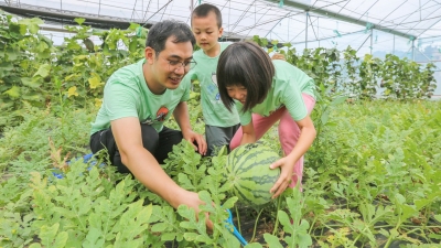 评“瓜王”+cosplay“蓝朋友”！这场亲子活动，大人和娃都玩“嗨”了！