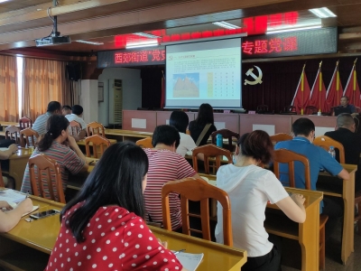 学习动态丨梅江区西郊街道开展党史学习教育专题宣讲