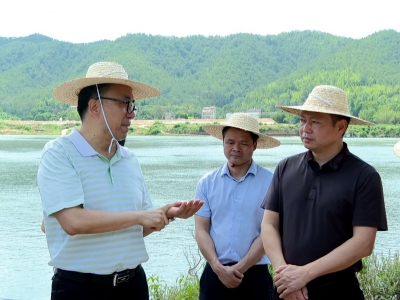 温向芳到大埔督导检查安全生产、防汛备汛、农村集中供水工作