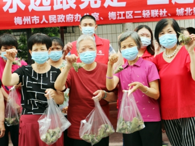 一“粽”情深！市政府办公室组织开展端午节主题志愿服务活动
