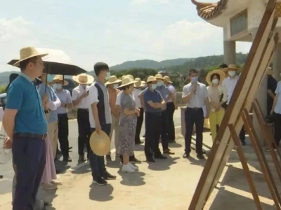 省自然资源厅来蕉岭调研国土空间生态修复规划工作