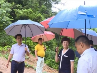 廖茂忠：强化担当 压实责任！为建党100周年营造良好氛围和安全稳定的社会环境