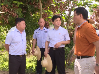 吴晖率队调研督导五华县垦造水田工作