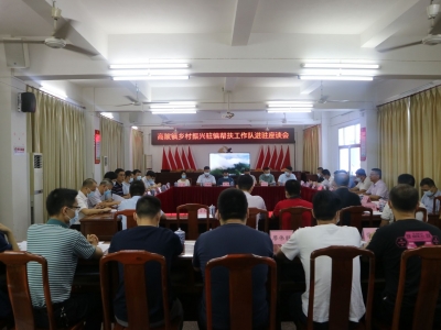 乡村振兴驻镇帮扶工作队进驻大埔县高陂镇